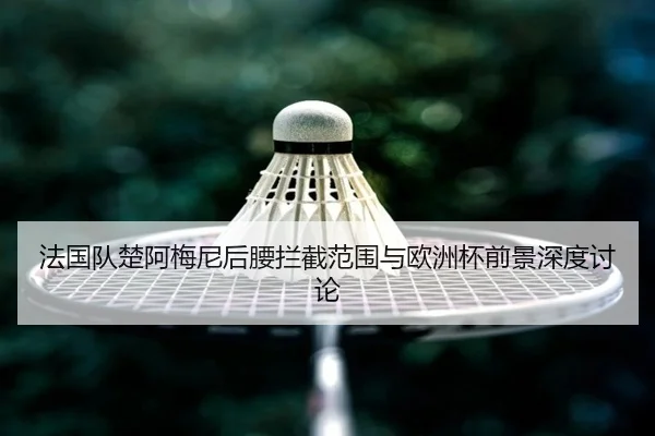 法国队楚阿梅尼后腰拦截范围与欧洲杯前景深度讨论